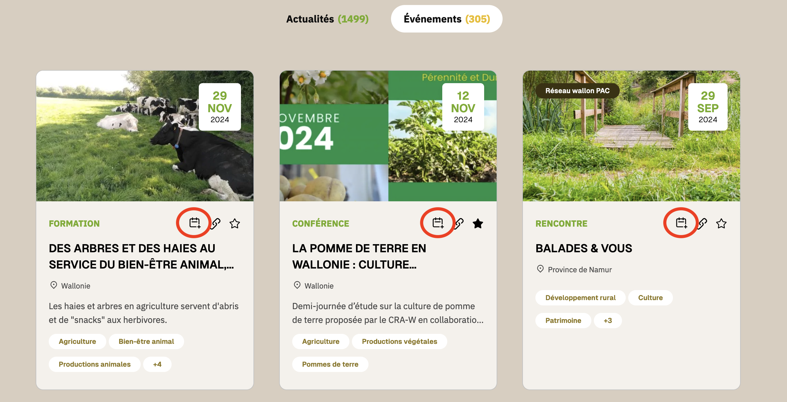 Une image contenant texte, capture d’écran, Site web, Page web

Description générée automatiquement